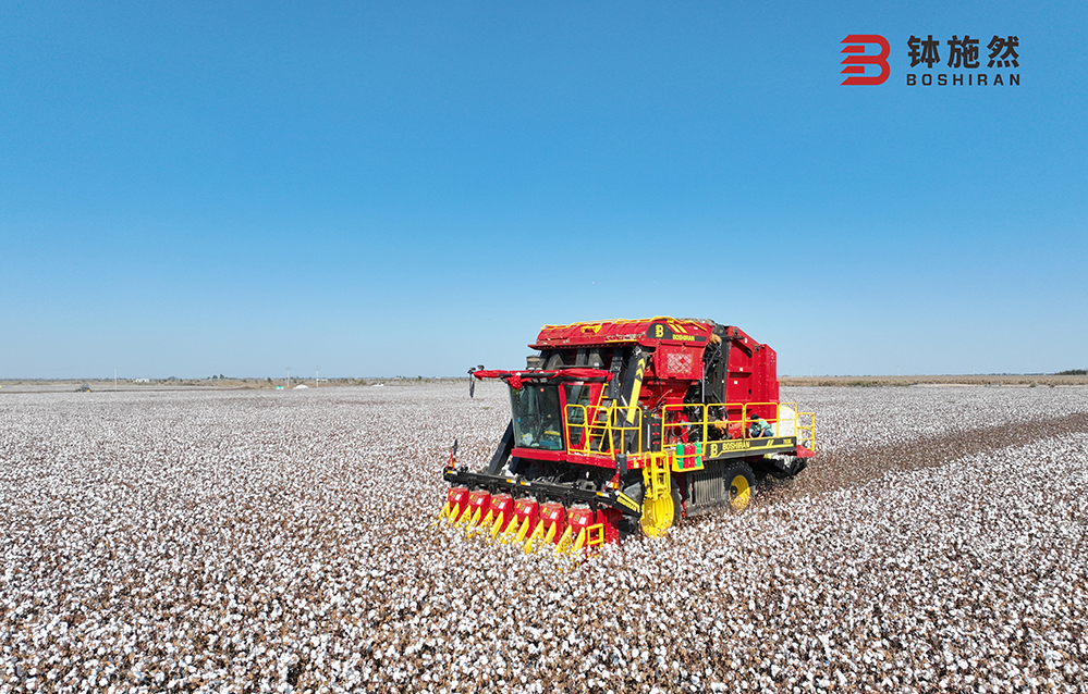 It's the end of the year, and we do this to improve customer satisfaction!